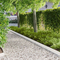vidaXL Metal Garden Hedge in White Colour 1m x ...