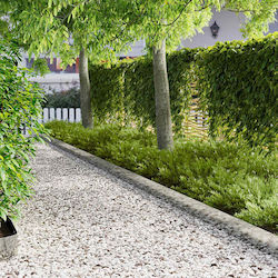 vidaXL Metal Garden Hedge in Silver Colour 15cm...