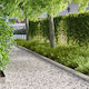 vidaXL Garden Hedge in Silver Colour 1m x 15cm ...