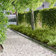 vidaXL Metal Garden Hedge in Silver Colour 1m x...
