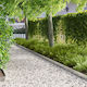 vidaXL Metallic Garden Hedge in Silver Colour 1...