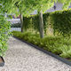 vidaXL Metallic Garden Hedge In Grey Colour 15c...