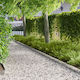 vidaXL Metallic Garden Hedge in Silver Colour 1...