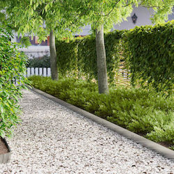 vidaXL Metal Garden Hedge in Silver Color 1m x ...