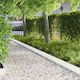 vidaXL Garden Hedge in White Colour 20cm x 1.03...