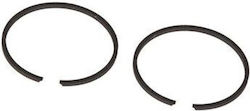 Kawasaki Eibolü Frühlings Set 2 Stück Kawasaki Eibolü Frühlings Set 2 Stück