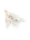 Mini Pampas Grass Bleached 10 Pcs