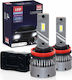H11 LED Autolampen 12/24V 12000lm Starke Canbus 6000K Hq Automotive