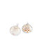 Palma Emporio Hanging Motif for Jewelry in Seashell Shape Set 25pcs