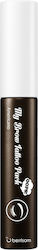 Berrisom For Eyebrows In Brown Shade 10gr