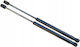 Octavia II Combi 04-13 Amortizoare Telescopice Power Liftgates TVA Nou