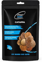 Βελτιωση Εμπλουτισμος Νερου Me Catappa 15-20 Cm 12 Pcs