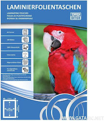 Gataric Laminierfolien A4 80 Mikron Gataric Laminierfolien A4 80 Mikron