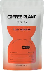 Coffee Plant Φίλτρου Flow Brownie σε Κόκκους 100gr