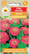 Dahlie Zinnia Rosa 1g
