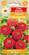 Dahlia Zinnia Roșie 1g