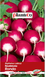 Rondo Radish Plantico