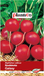 Galaxy Radish Plantico