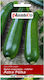 Gemeine Kürbis Astra Polka Zucchini Pflanze