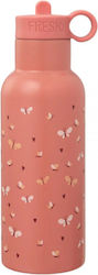 Fresk Kids Water Bottle Thermos Butterfly Stainless Steel with Straw 500ml Fresk Kids Water Bottle Thermos Butterfly Stainless Steel with Straw 500ml