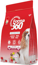 Forma 360 2kg
