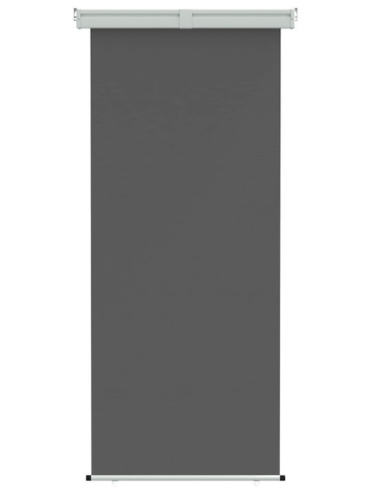 vidaXL Seitliche Markise Terrasse Grau 0.8x2.5m