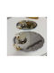 Stewehome Set 2 Oval Trays Decorative Lily 2 Silver Food Jars Loukoumia Lily Stainless Steel 25x20 Cm