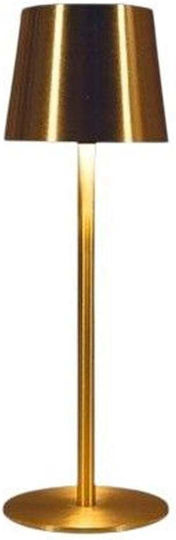 Anna's Collection Table Lamp with Gold Shade and Base