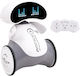 RC Robot