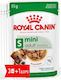 Royal Canin Wet Dog Food in Pouch 85gr