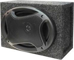 Tradesor Auto-Audio-Subwoofer 580W RMS Mit Box