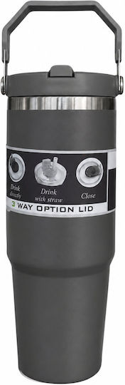 HOMie Stainless Steel Plastic Thermos Bottle 900ml Gray with Straw
