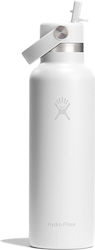 Hydro Flask Standard Flex Thermos Stainless Ste...