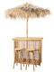 Outdoor Bar Set 4 Pieces Wood Shade
