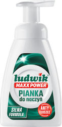 Ludwik Maxx Power Spumă Concentrată Pentru Lich...
