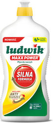 Ludwik Υγρό Πιάτων 5000ml
