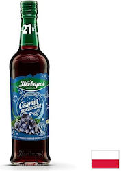 Schwarze Johannisbeer Sirup – Getränke und Süßwaren 420 Ml