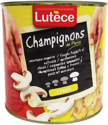 Lutece Pilze 2550g