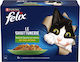 Felix Wet Food for Adult Cats in Pouches with Beef and Chicken 10x85gr