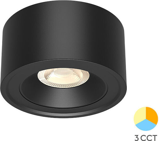Braytron Spot Cu 10 Lumini În Culoare Neagră