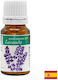 Pain-relieving Toning Properties Organic Lavender Essential Oil 10 Ml