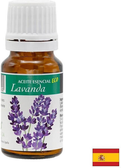 Pain-relieving Toning Properties Organic Lavender Essential Oil 10 Ml