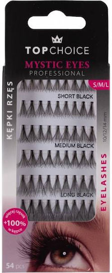Top Choice Mystic Eyes Mix Eyelash Clusters 100