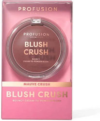 Profusion Cosmetics Blush Crush Fard Obraz Mauve Crush 10gr
