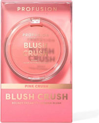 Profusion Cosmetics Blush Crush Profusion Cosmetics Blush Crush