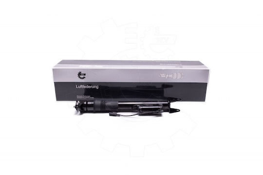 Αμορτισέρ Αέρα Mercedes R-class Πίσω 2513200931