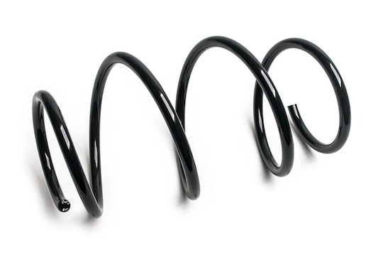 Suspension Spring Bmw 3 E46 98 Front 31331093068