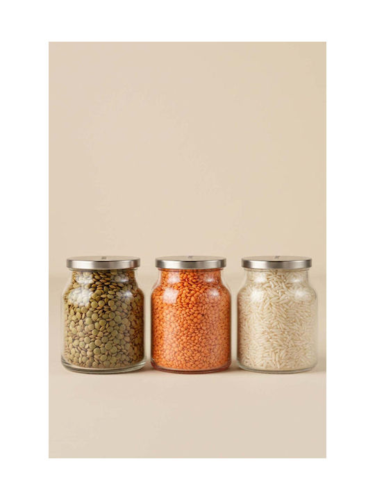 SteweHome Set of 3 Coffee Jars with Metallic Transparent Lid 650ml