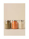 SteweHome Set of 3 Coffee Jars with Metallic Transparent Lid 650ml