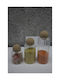 SteweHome Set of 3 General Use Glass Jars with Cork 1000ml